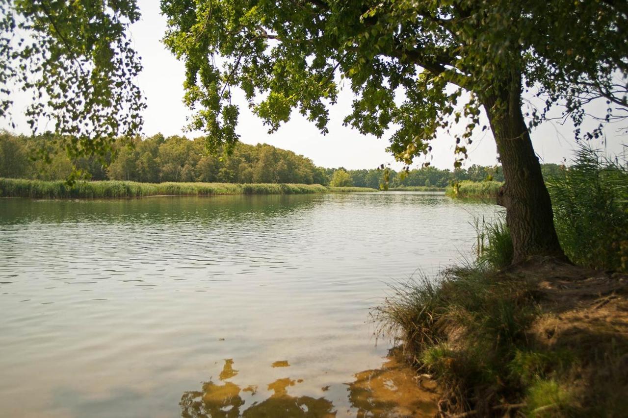 Hospoda-Ferienhaus Am Olba-See Malschwitz Экстерьер фото